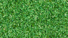 Load image into Gallery viewer, Mid Green Scenic Scatter (50g) - Gaugemaster Scenics - 102