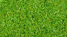 Load image into Gallery viewer, NEW ITEM - Spring Green Scenic Scatter (50g) - Gaugemaster Scenics - 105