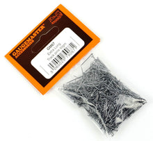 Load image into Gallery viewer, Track Pins 15mm Extra Long (50g) - Gaugemaster Track - 67