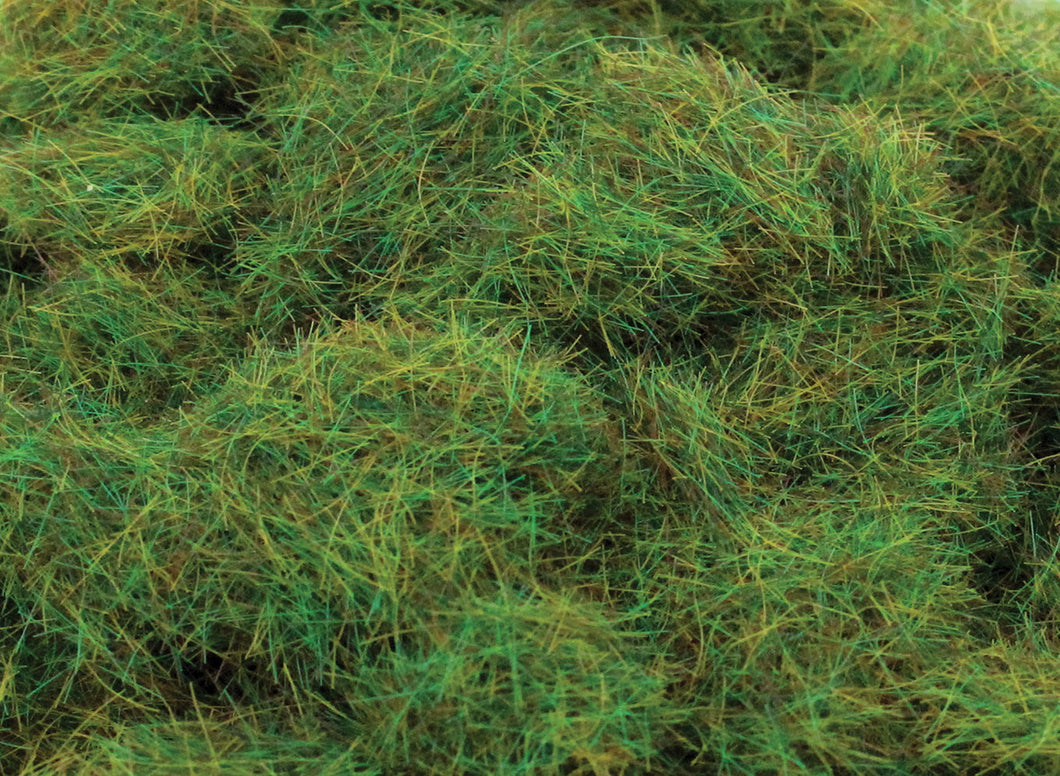 WWScenics – Herbe Statique éparse 2 Mm, 500 Ml – Pour Dioramas, Réseaux Ferroviaires Et Socles De Figurines