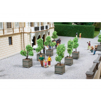*Ornamental Trees in Tubs (2)