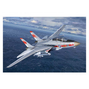 *US Grumman F-14A Tomcat Model Set (1:144 Scale)