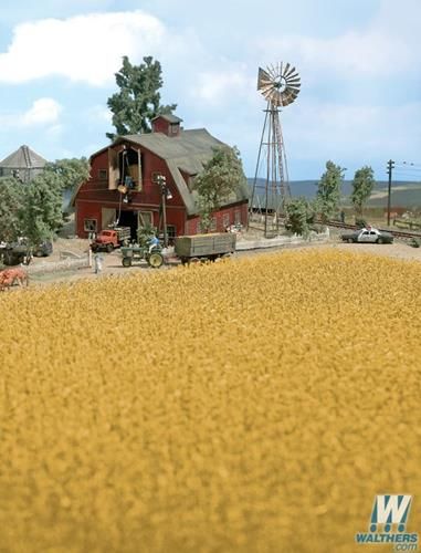 Harvest Corn Field Brown