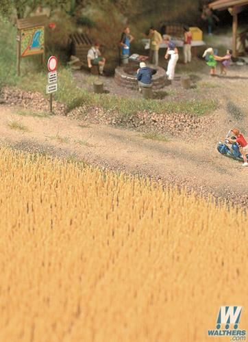 Harvest Wheat Field Brown