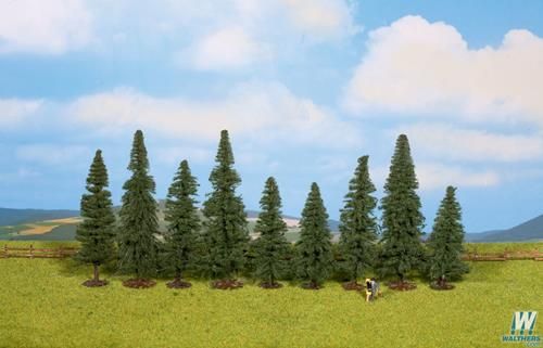 Fir Trees 8-12cm (9)