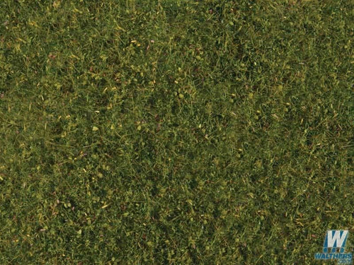 Tear & Plant Meadow Grass Light Green