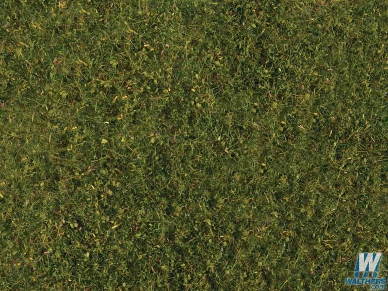 Tear & Plant Meadow Grass Light Green