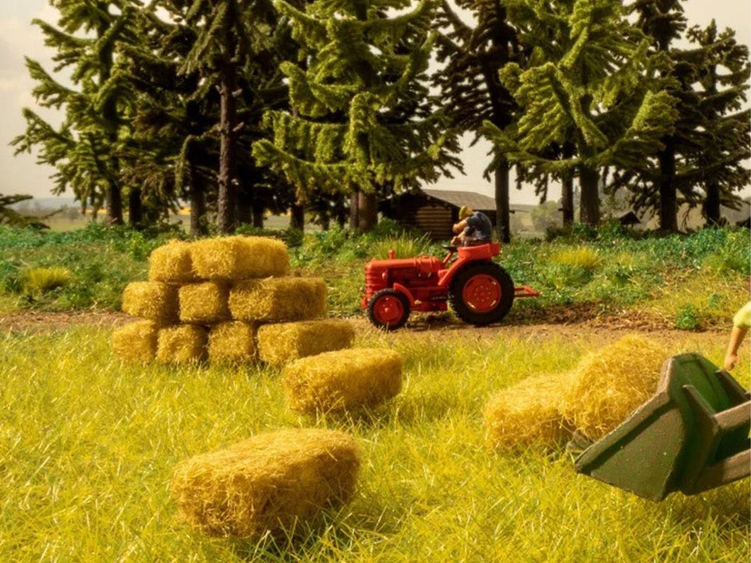 Square Hay Bales (36)