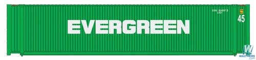 45' CIMC Container Evergreen