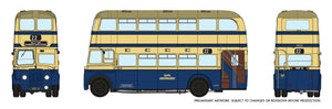 New Look Guy Arab - WMPTE 3031 New Look Guy Arab - WMPTE 3031