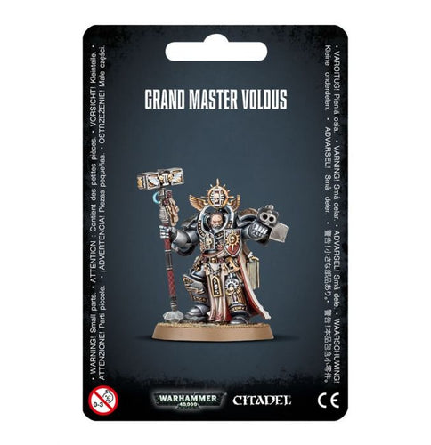 GREY KNIGHTS GRAND MASTER VOLDUS - 40k - gw-57-11