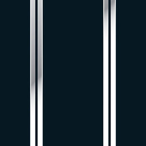 Standard Straight 350mm x 2 - C8205 -Available