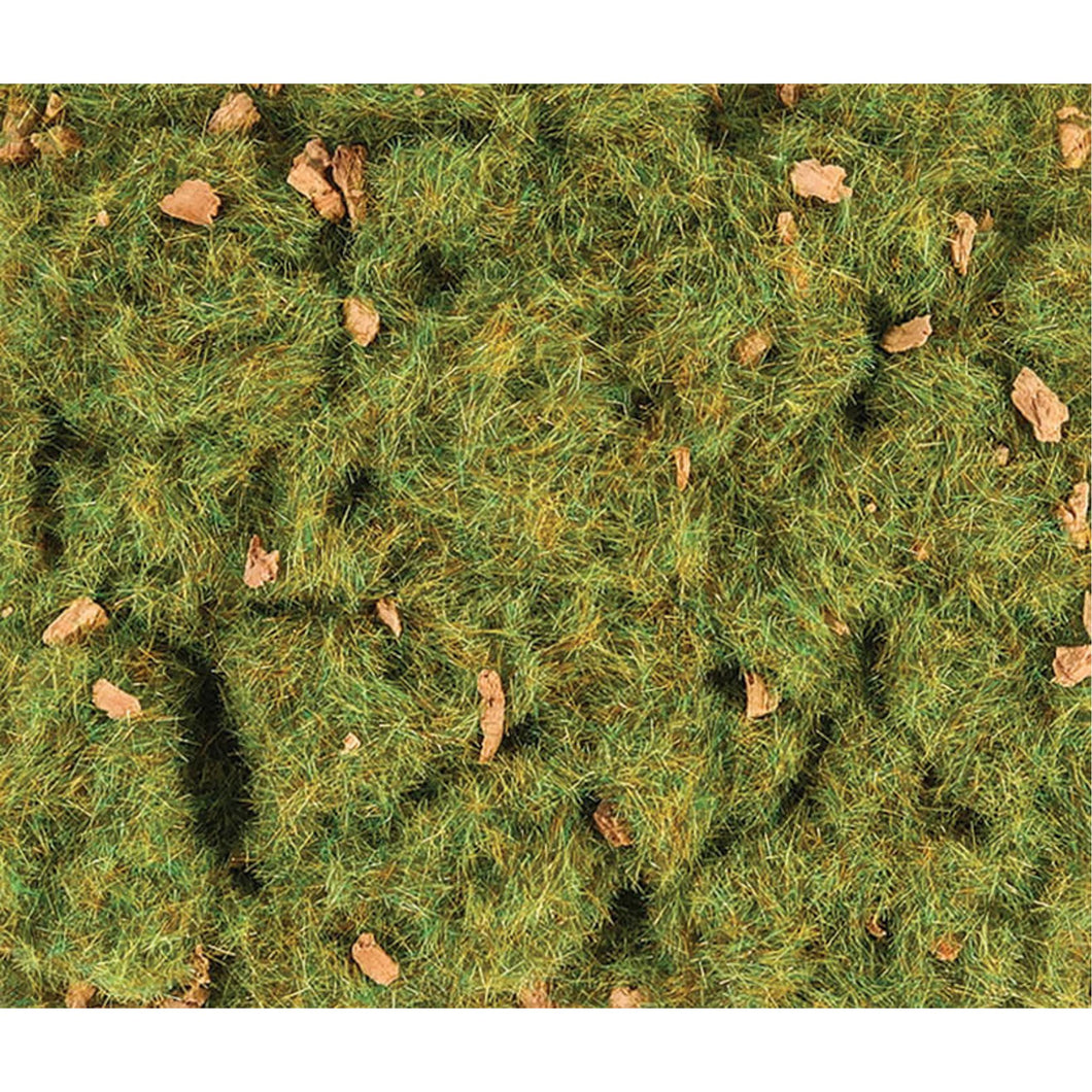 2mm Spring Alpine 