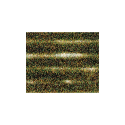 6mm Spring  
