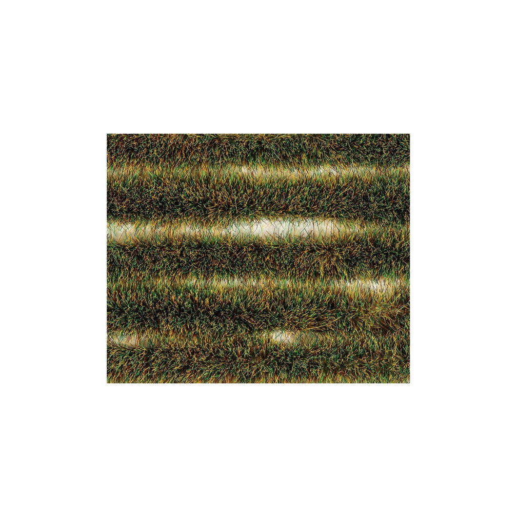 6mm Spring  