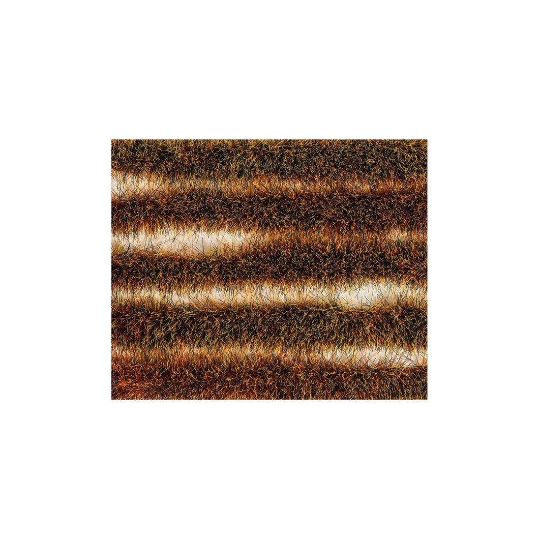 6mm Winter