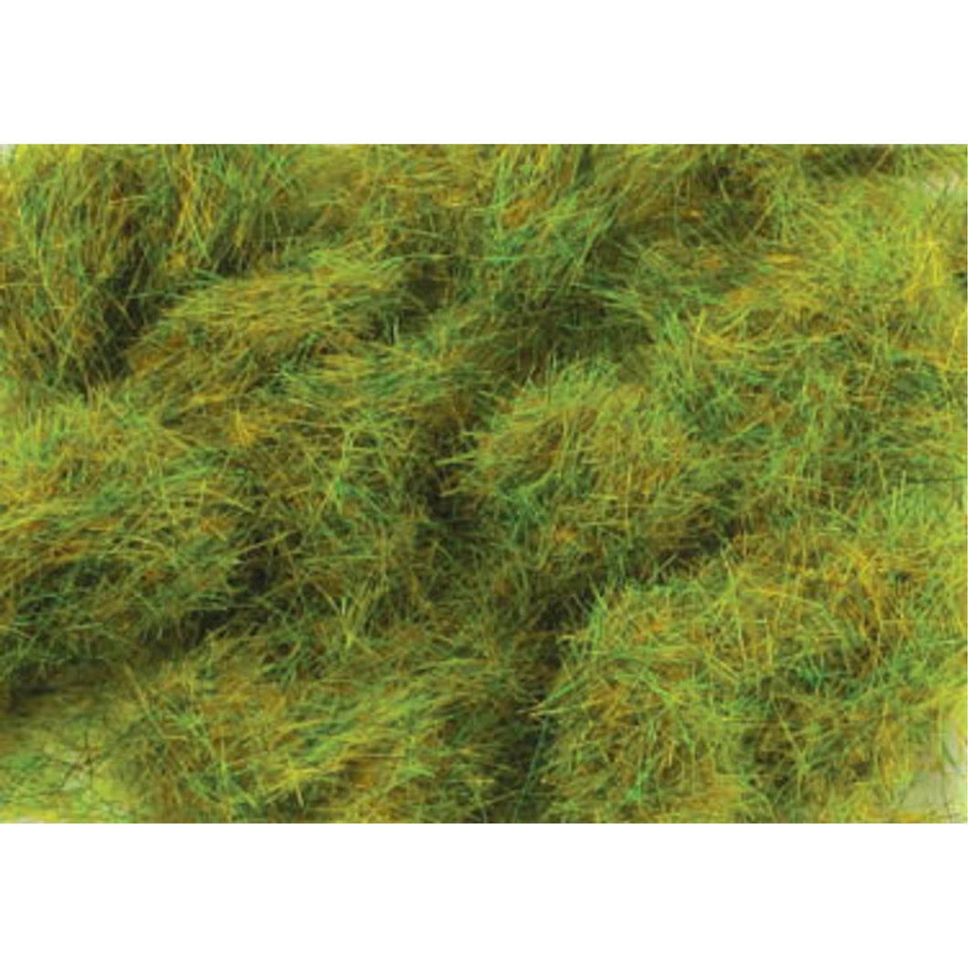 6mm Spring Grass