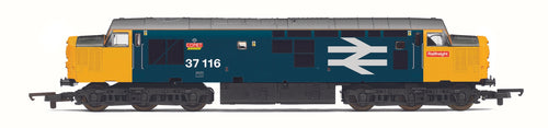 RailRoad Plus BR, Class 37, Co-Co, 37116 'Comet'- Era 8 - R30185 - New for 2022 - PRE ORDER