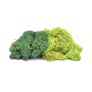 Lichen - Large Green Mix - R7195 -Available
