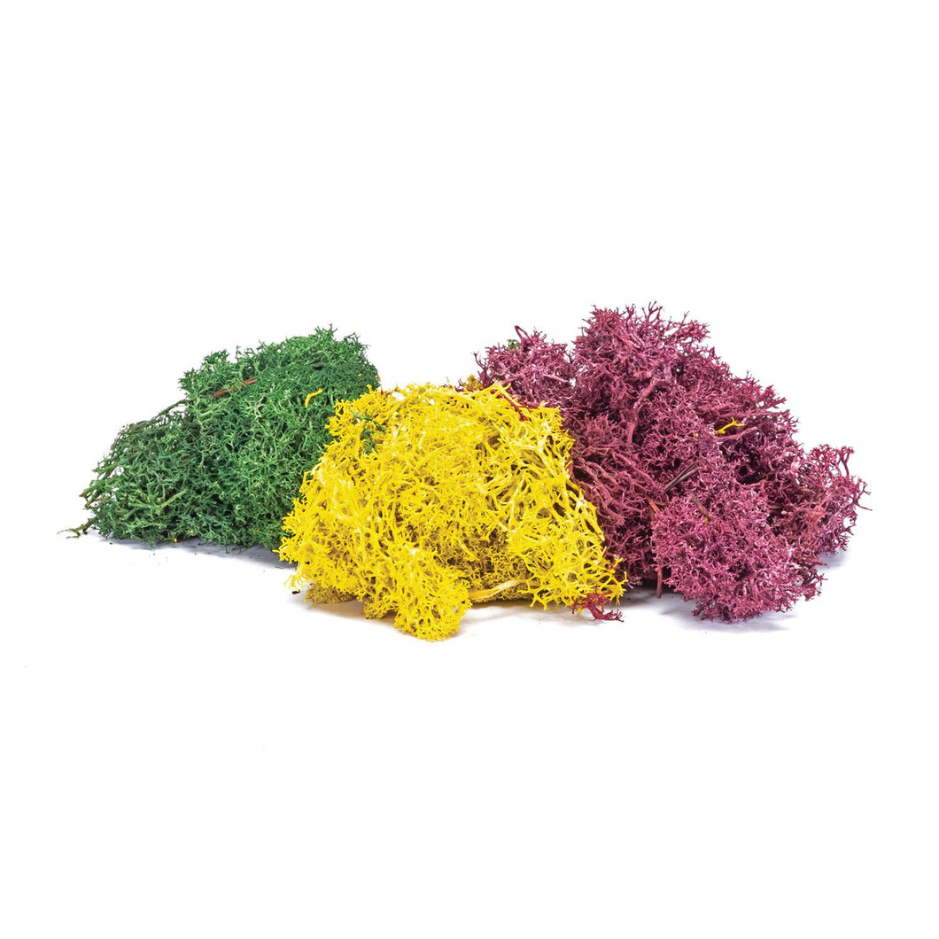 Lichen - Autumn Mix - R7196 -Available