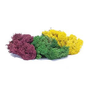 Lichen - Large Autumn Mix - R7197 -Available