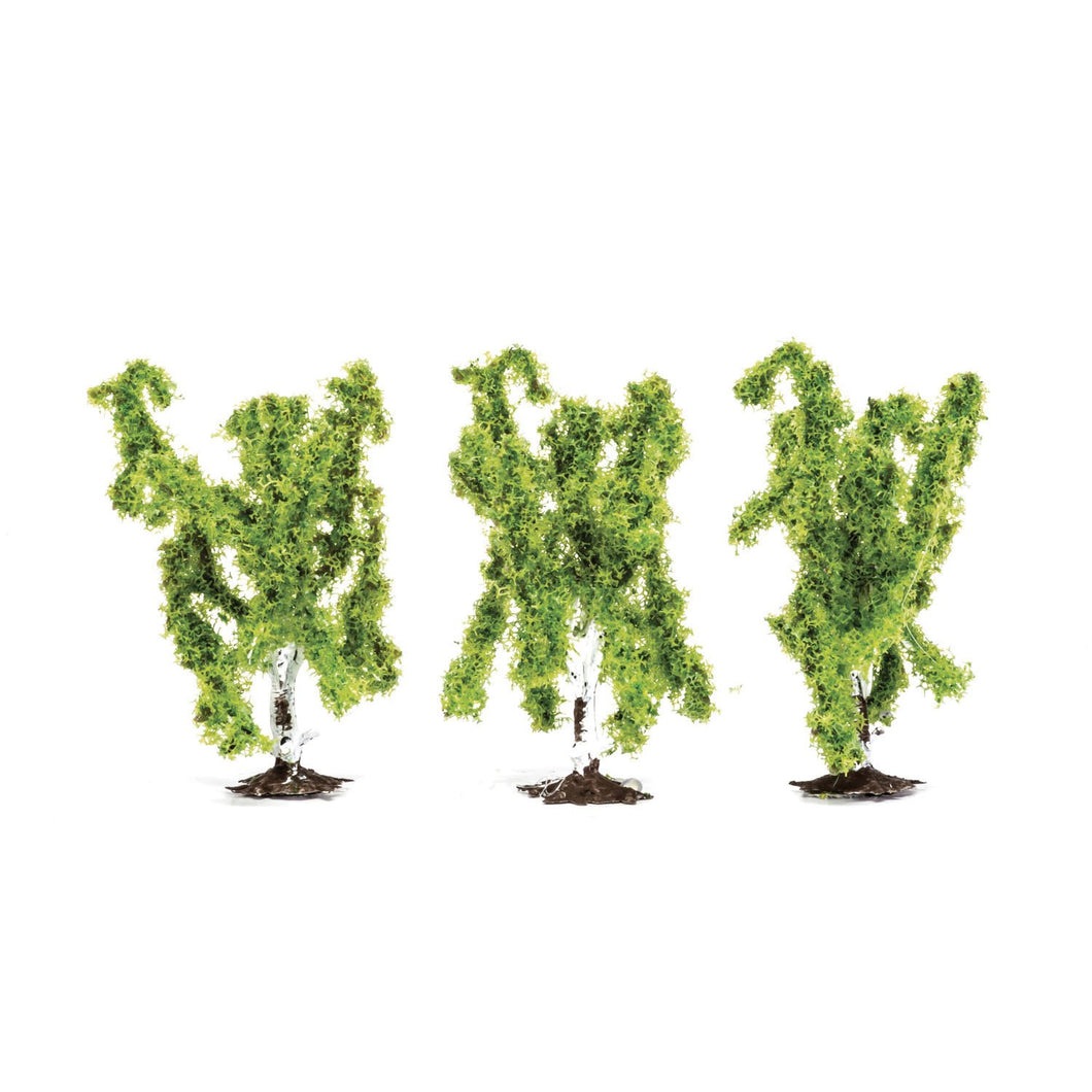 Birch Trees  Qty 6 - R7205 -Available