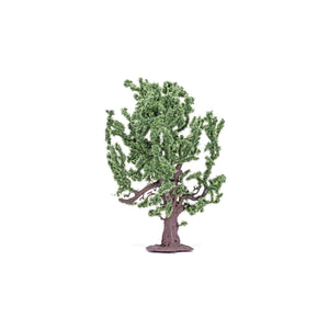 Oak Tree  Qty 6 - R7209 -Available