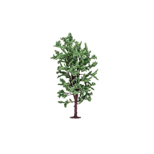 Horse Chestnut Tree  Qty 6 - R7211 -Available