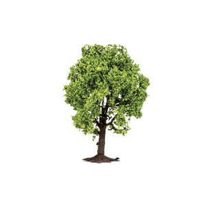 Fruit Tree  Qty 6 - R7212 -Available