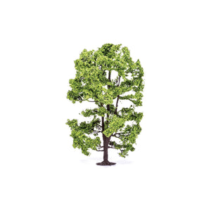 Acacia Tree  Qty 6 - R7217 -Available