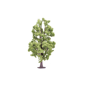 Lime Tree  Qty 6 - R7223 -Available