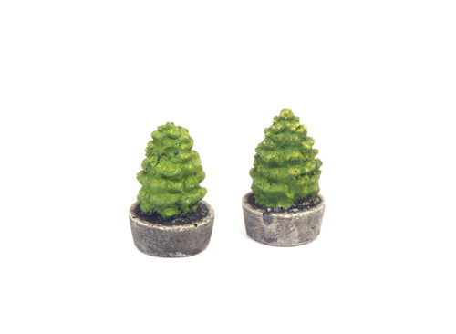 Two Green Trees in Concrete Planters