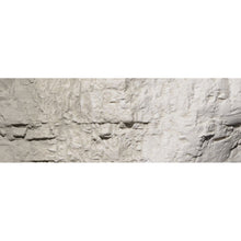 Load image into Gallery viewer, Concrete Earth Colours‚ž‚ Liquid Pigment 4 fl. oz. - Bachmann -WC1217
