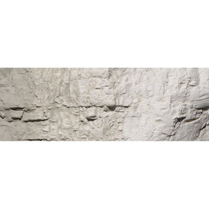 Concrete Earth Colours‚ž‚ Liquid Pigment 4 fl. oz. - Bachmann -WC1217