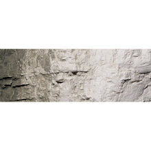 Load image into Gallery viewer, Stone Grey Earth Colours‚ž‚ Liquid Pigment 4 fl. oz. - Bachmann -WC1218
