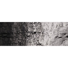 Load image into Gallery viewer, Black Earth Colours‚ž‚ Liquid Pigment 4 fl. oz. - Bachmann -WC1220
