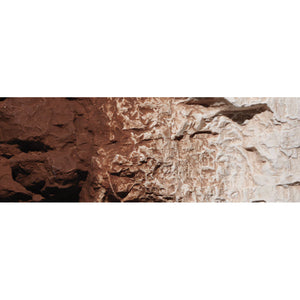 Burnt Umber Earth Colours‚ž‚ Liquid Pigment 4 fl. oz. - Bachmann -WC1222