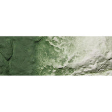 Load image into Gallery viewer, Green Undercoat Earth ColoursÃƒÂ¢Ã¢â‚¬Å¾Ã‚Â¢ Liquid Pigment 4 fl. oz. - Bachmann -WC1228
