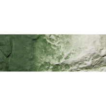 Load image into Gallery viewer, Green Undercoat Earth Coloursƒ‚…¾‚ Liquid Pigment 4 fl. oz. - Bachmann -WC1228

