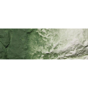 Green Undercoat Earth Coloursƒ‚…¾‚ Liquid Pigment 4 fl. oz. - Bachmann -WC1228