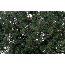 Load image into Gallery viewer, Dark Green Fine Leaf Foliage
