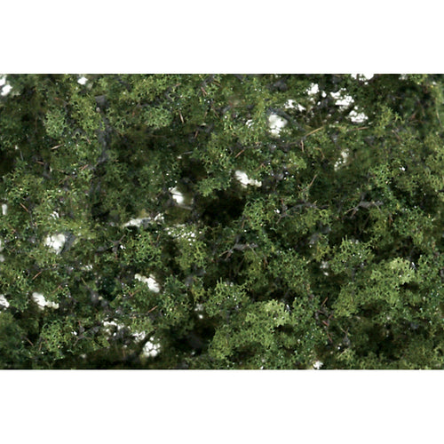 Medium Green Fine Leaf Foliage