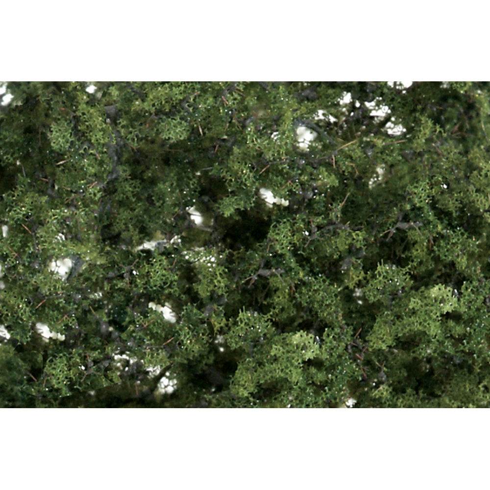 Medium Green Fine Leaf Foliage