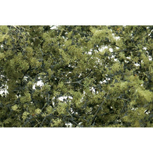 Load image into Gallery viewer, Olive Green Fine Leaf Foliage
