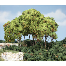 Load image into Gallery viewer, Light Green Forest Canopy
