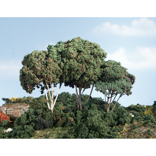 Medium Green Forest Canopy