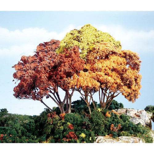Autumn Mix Forest Canopy