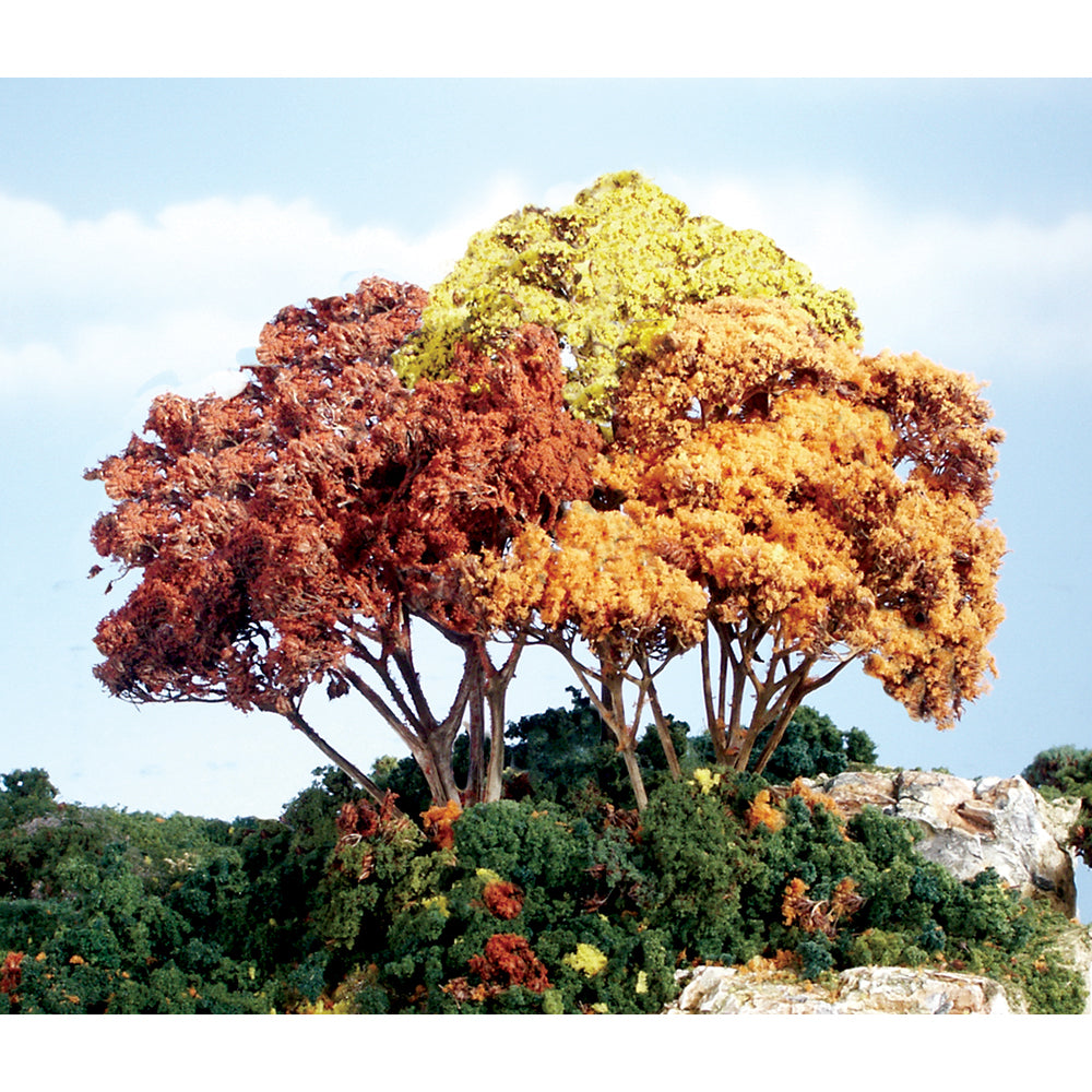 Autumn Mix Forest Canopy