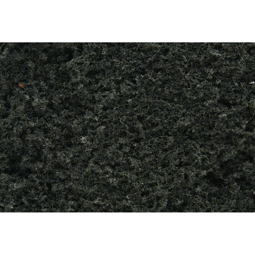 Conifer Green Foliage