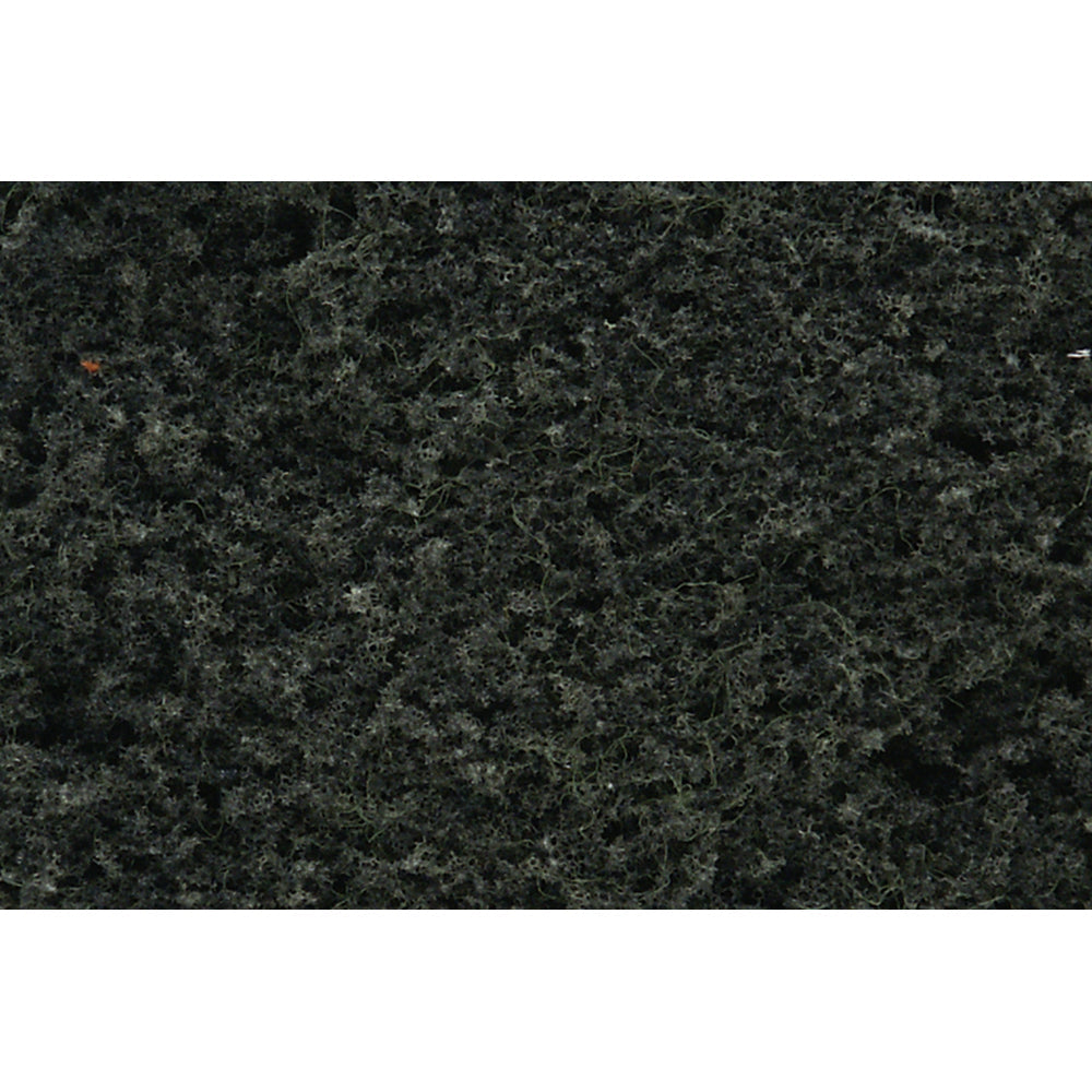 Conifer Green Foliage